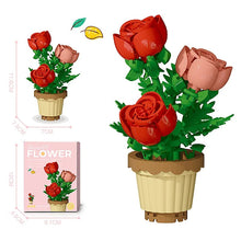 Kreatives Blumen-Bauset