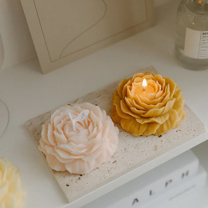 Peony Bloom