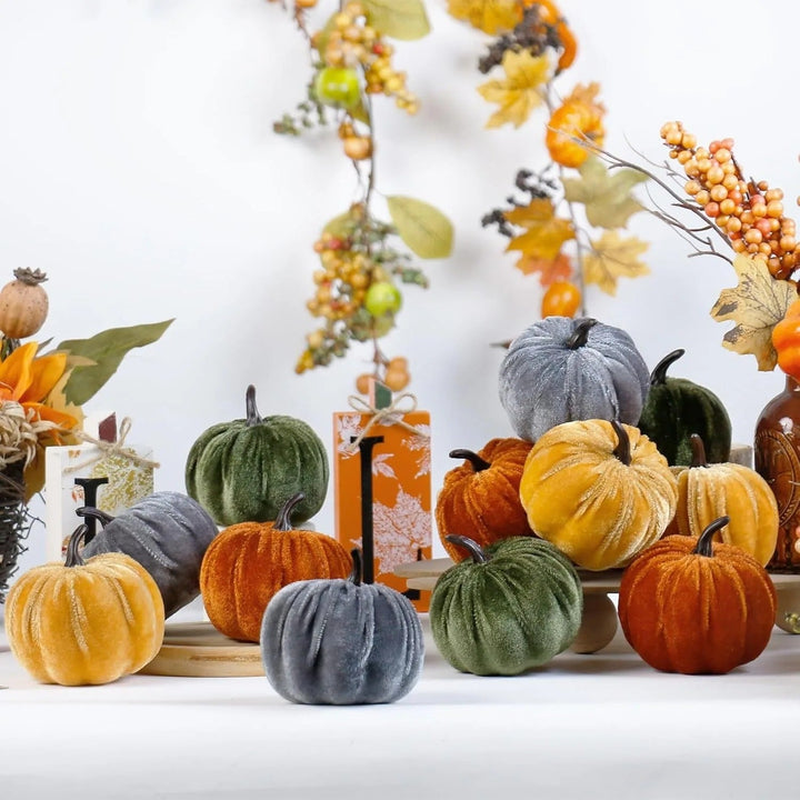 Velvet Harvest Pumpkins — Set of 12 Random Mix