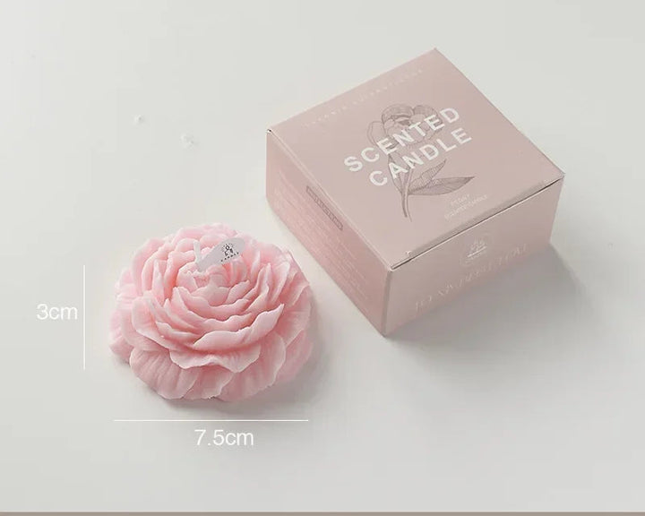 Peony Bloom