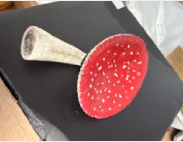 MYZEL – Oggetto da parete fatto a mano con mini-ripiano