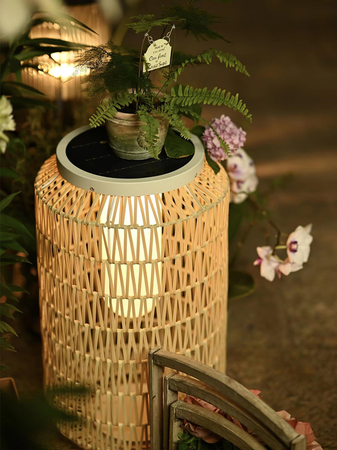 Sora Rattan Leuchte
