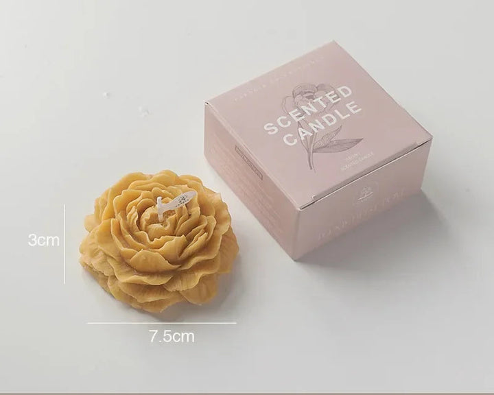 Peony Bloom