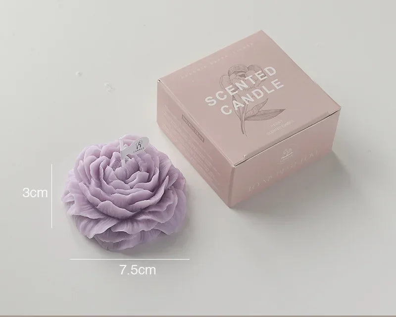 Peony Bloom