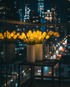 Luminelle Tulpenlicht
