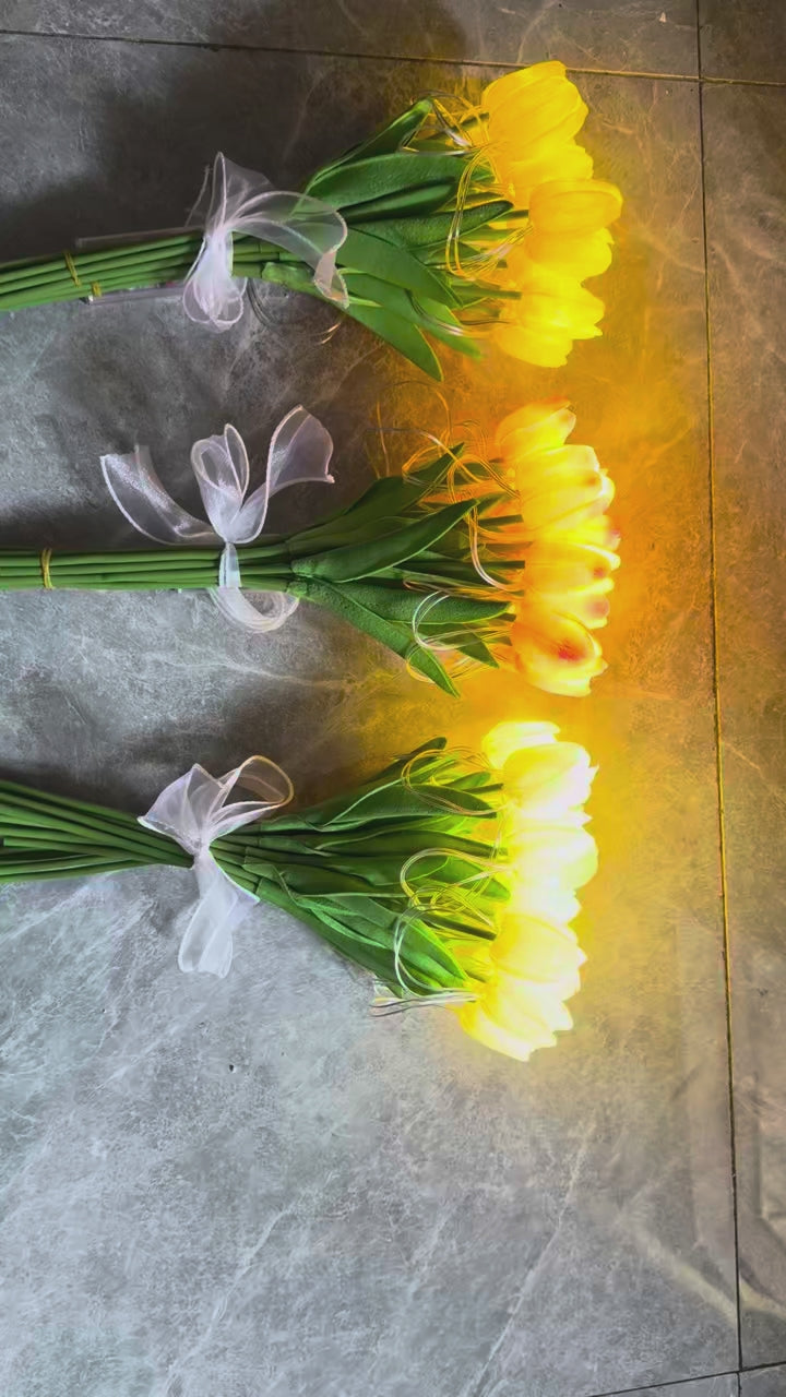 Luminelle Tulpenlicht